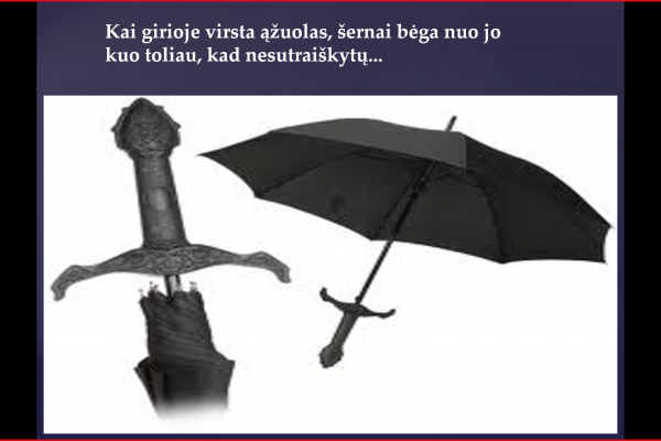 ekrano-kopija-134D655479C-9D55-6A86-A8E6-5483214BB2F3.png